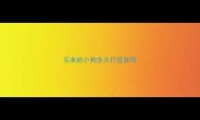 买来的小狗多久打疫苗吗