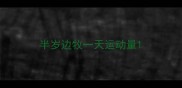 半岁边牧一天运动量