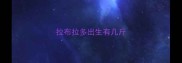 拉布拉多出生有几斤