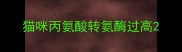 猫咪丙氨酸转氨酶过高