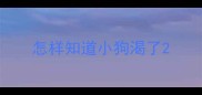 怎样知道小狗渴了