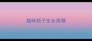 猫咪胡子生长周期