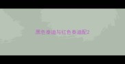 黑色泰迪与红色泰迪配