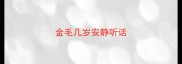 金毛几岁安静听话