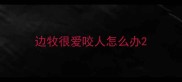 边牧很爱咬人怎么办