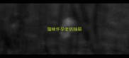 猫咪怀孕老扒抽屉