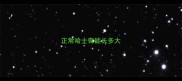 正常哈士奇能长多大