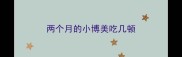 两个月的小博美吃几顿
