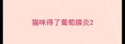 猫咪得了葡萄膜炎