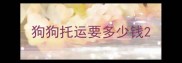 狗狗托运要多少钱