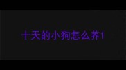 十天的小狗怎么养