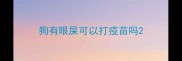 狗有眼屎可以打疫苗吗