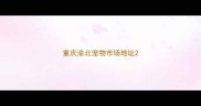 重庆渝北宠物市场地址