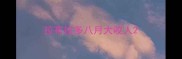 拉布拉多八月大咬人