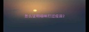 怎么证明喵咪打过疫苗