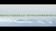 边境牧羊犬产仔后拒食怎么办新手养犬必读的哺乳期护理全攻略