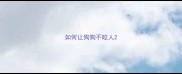 如何让狗狗不咬人