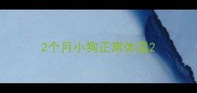2个月小狗正常体温