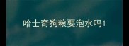 哈士奇狗粮要泡水吗