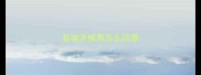 泰迪牙根黑怎么回事