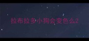拉布拉多小狗会变色么