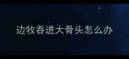 边牧吞进大骨头怎么办