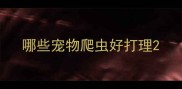 哪些宠物爬虫好打理