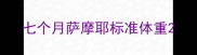 七个月萨摩耶标准体重