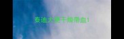 泰迪大便干燥带血