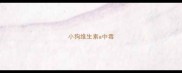 小狗维生素a中毒