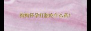 狗狗怀孕打胎吃什么药