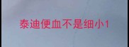 泰迪便血不是细小