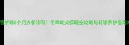 雪纳瑞8个月大怕冷吗冬季幼犬保暖全攻略与科学养护指南