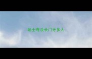 哈士奇没长门牙多大
