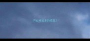 养拉布拉多的感受
