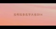 拉布拉多名字大全2014
