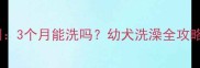 狗狗洗澡最佳时间3个月能洗吗幼犬洗澡全攻略附正确步骤