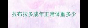 拉布拉多成年正常体重多少