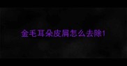 金毛耳朵皮屑怎么去除