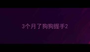 3个月了狗狗握手
