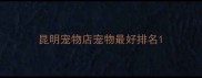 昆明宠物店宠物最好排名
