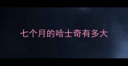 七个月的哈士奇有多大