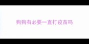 狗狗有必要一直打疫苗吗