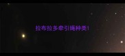 拉布拉多牵引绳种类