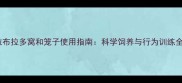 拉布拉多窝和笼子使用指南科学饲养与行为训练全