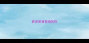 青岛爱康宠物医院