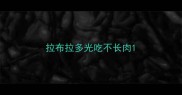 拉布拉多光吃不长肉
