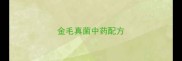 金毛真菌中药配方