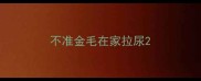 不准金毛在家拉尿