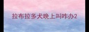 拉布拉多犬晚上叫咋办